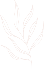 line drawing leaves illustrations and art brushes for decorative purposes