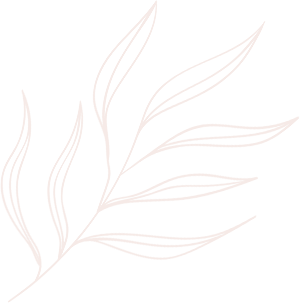 line drawing leaves illustrations and art brushes for decorative purposes